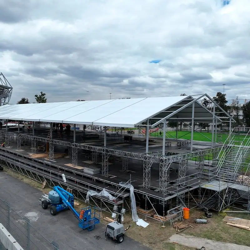 Diseño con trusses the spider